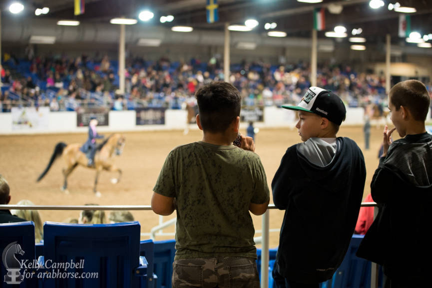 2017 Scottsdale Photos by Kelly Campbell 