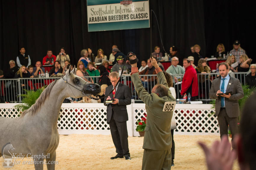 2017 Scottsdale Photos by Kelly Campbell 