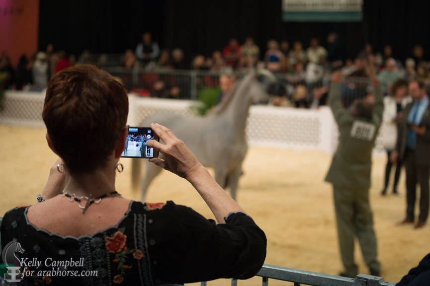 2017 Scottsdale Photos by Kelly Campbell 