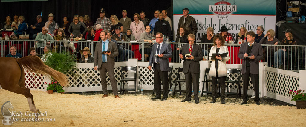 2017 Scottsdale Photos by Kelly Campbell 