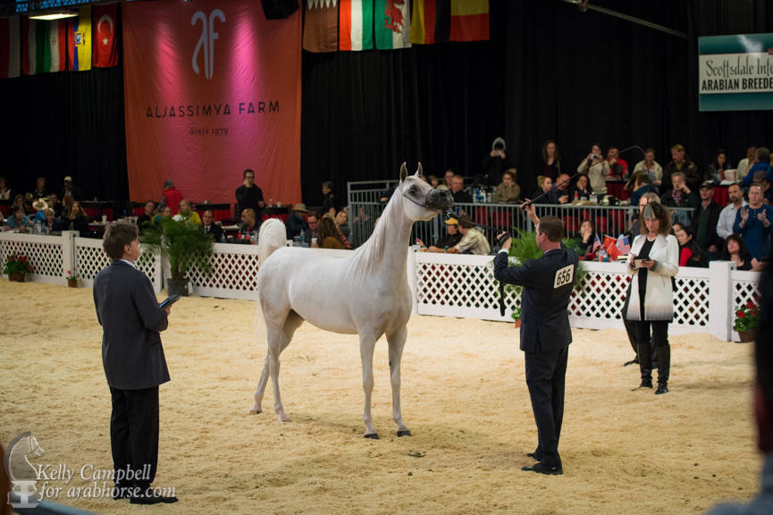 2017 Scottsdale Photos by Kelly Campbell 