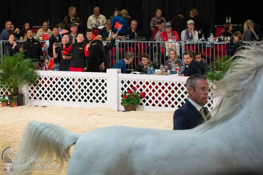 2017 Scottsdale Photos by Kelly Campbell 