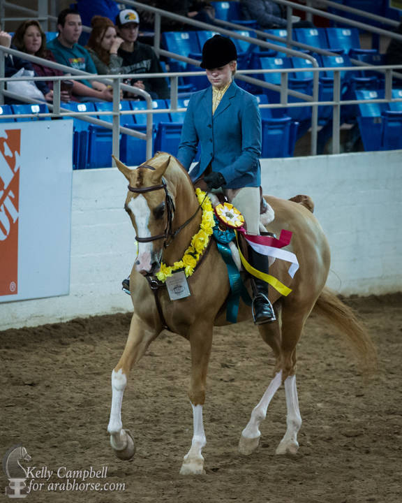 2017 Scottsdale Photos by Kelly Campbell 