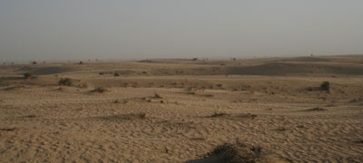 Dubai Day 1 - The Desert...little different then Scottsdale! 
