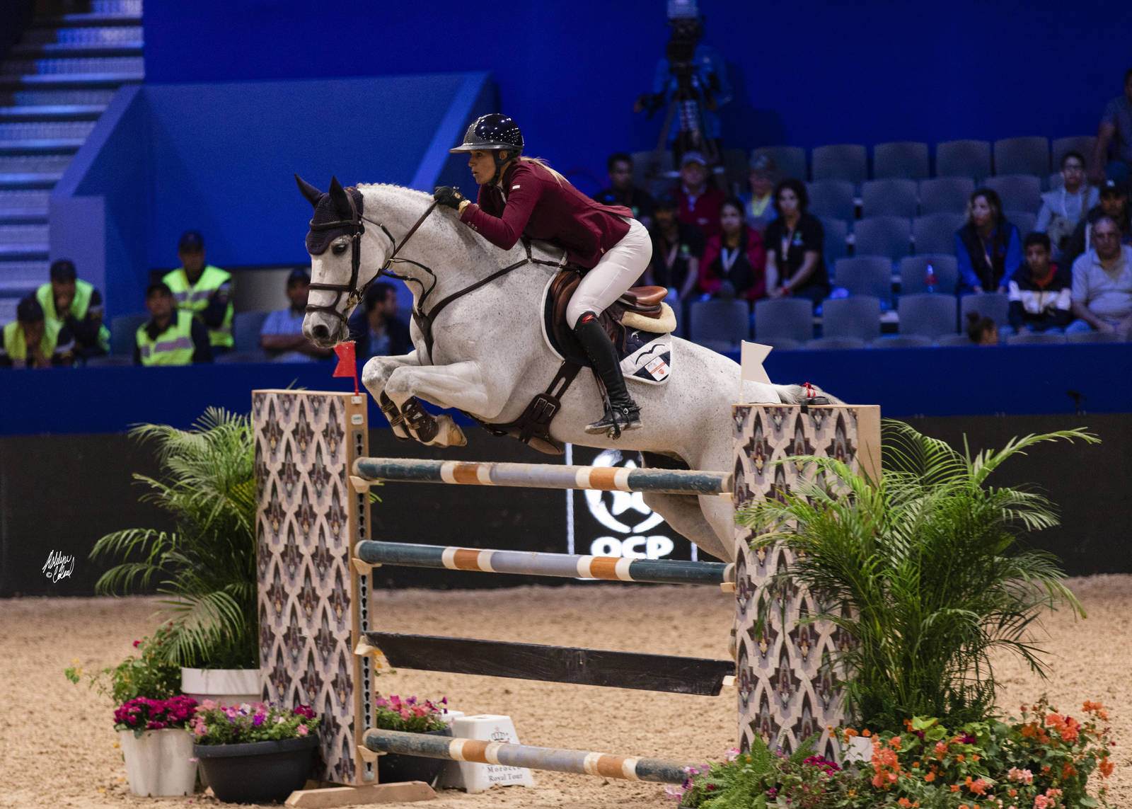 2019 SALON DU CHEVAL - EL JADIDA