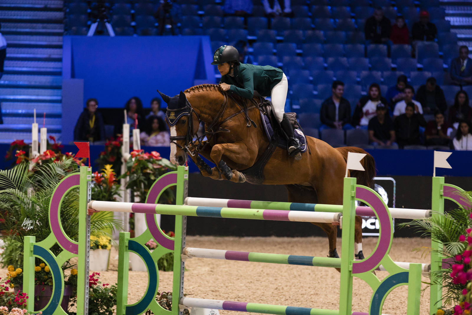 2019 SALON DU CHEVAL - EL JADIDA