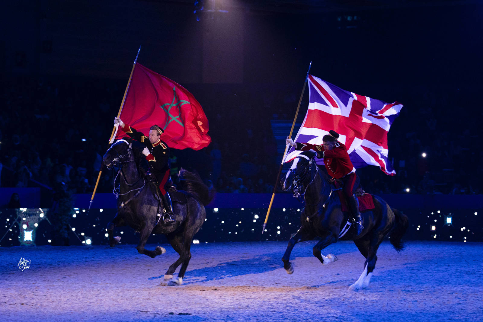 2019 SALON DU CHEVAL - EL JADIDA