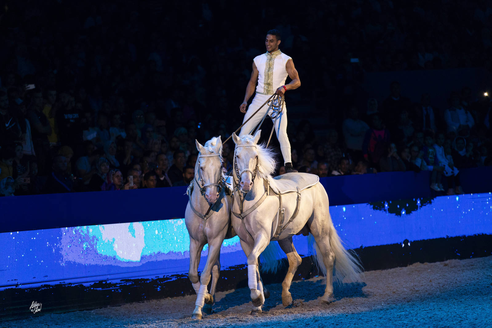 2019 SALON DU CHEVAL - EL JADIDA