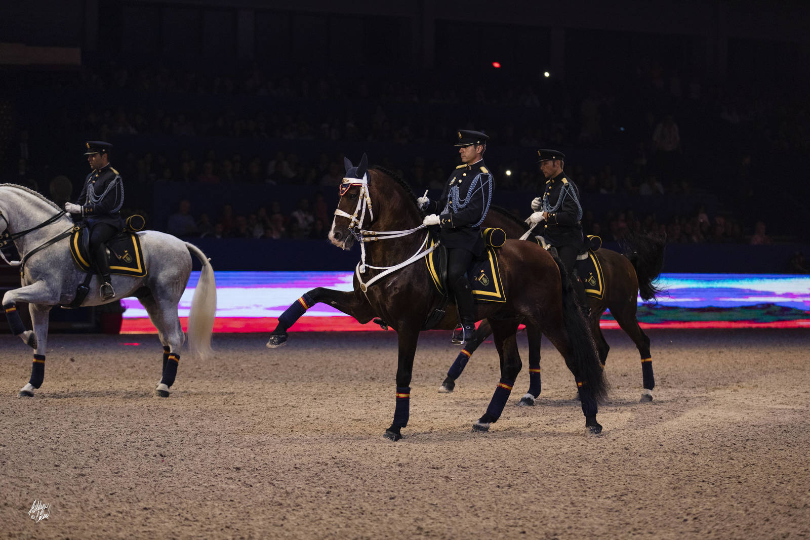 2019 SALON DU CHEVAL - EL JADIDA