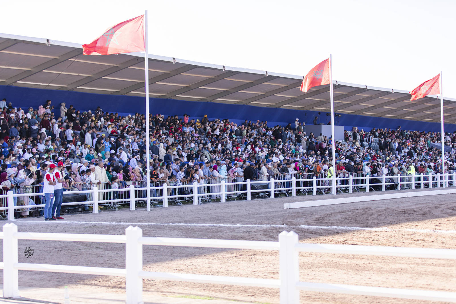 2019 SALON DU CHEVAL - EL JADIDA