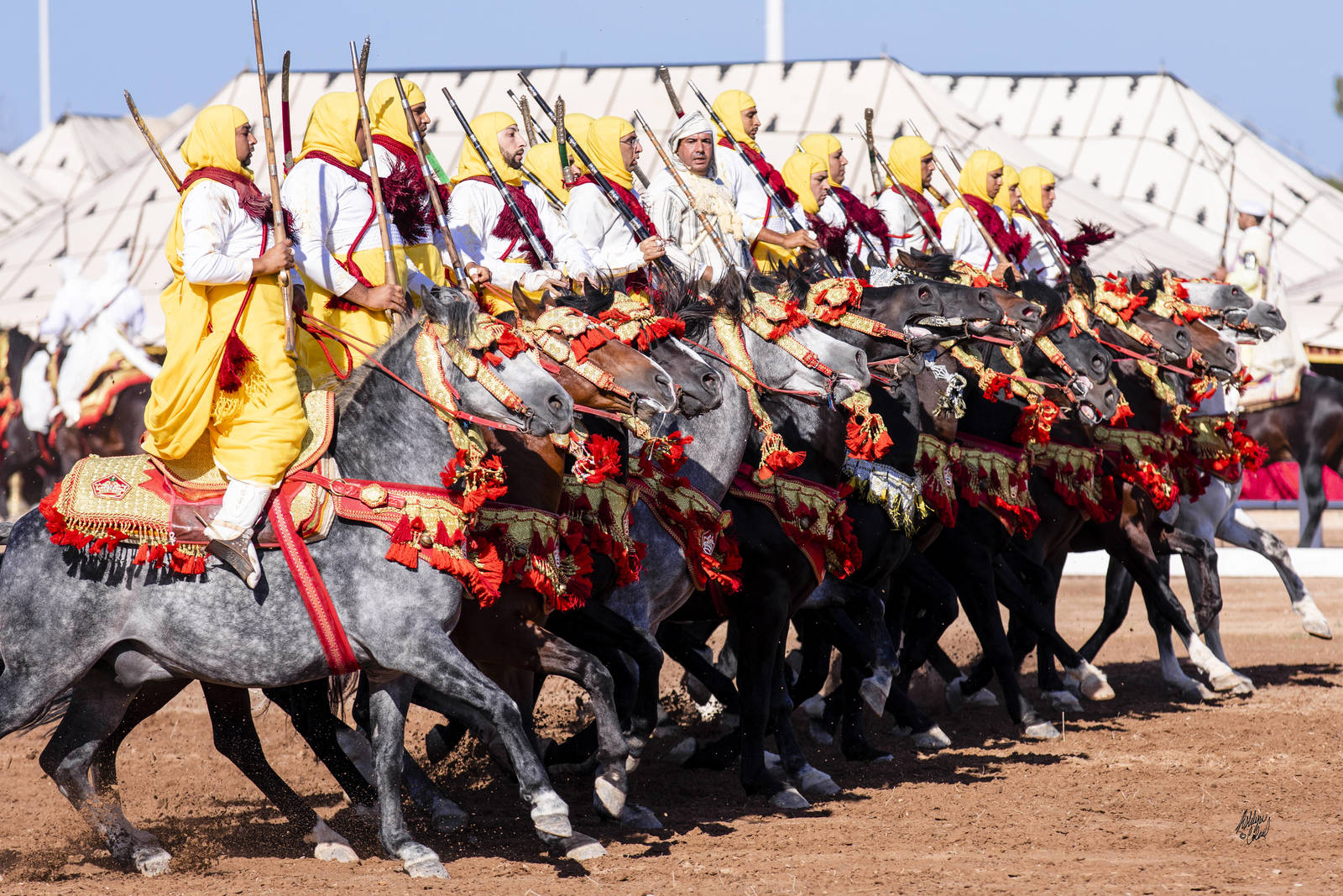 2019 SALON DU CHEVAL - EL JADIDA