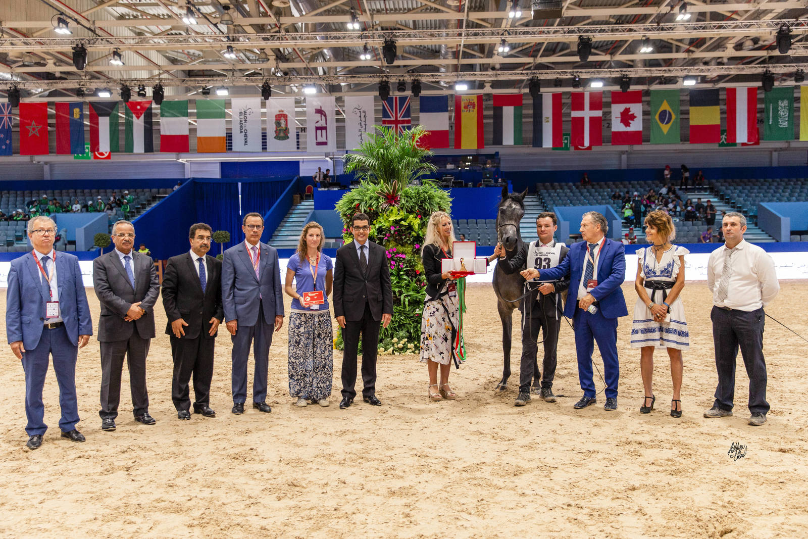 2019 SALON DU CHEVAL - EL JADIDA