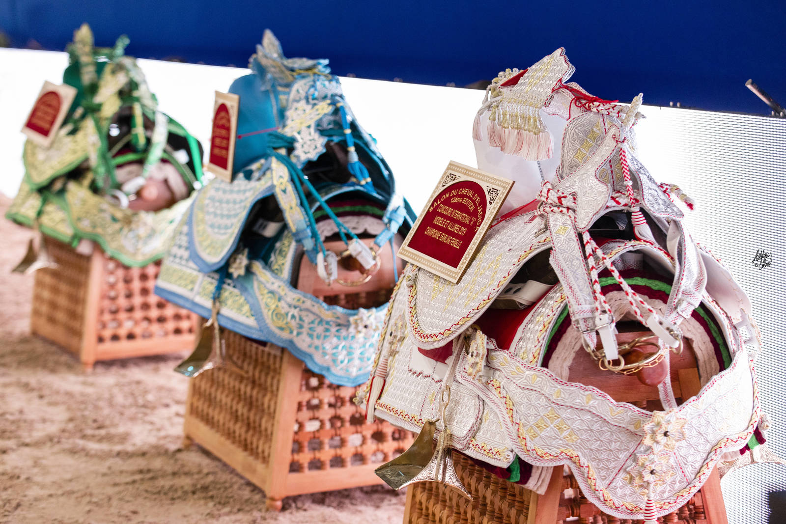 2019 SALON DU CHEVAL - EL JADIDA