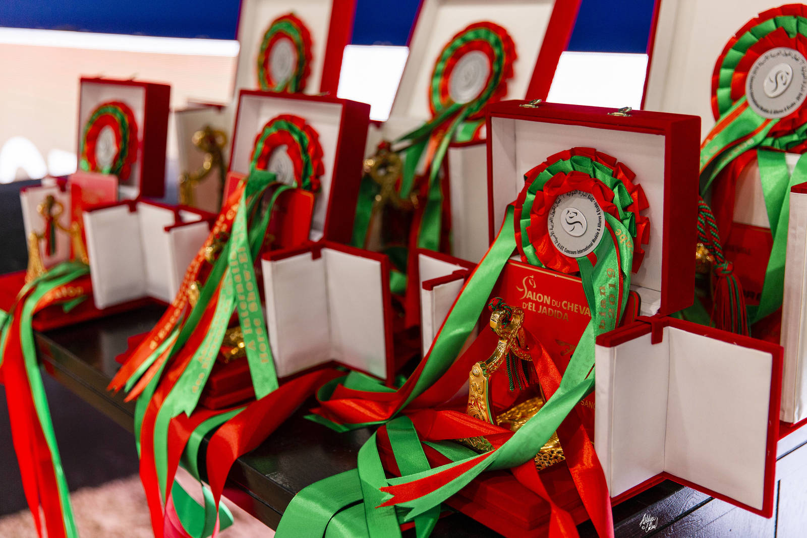 2019 SALON DU CHEVAL - EL JADIDA