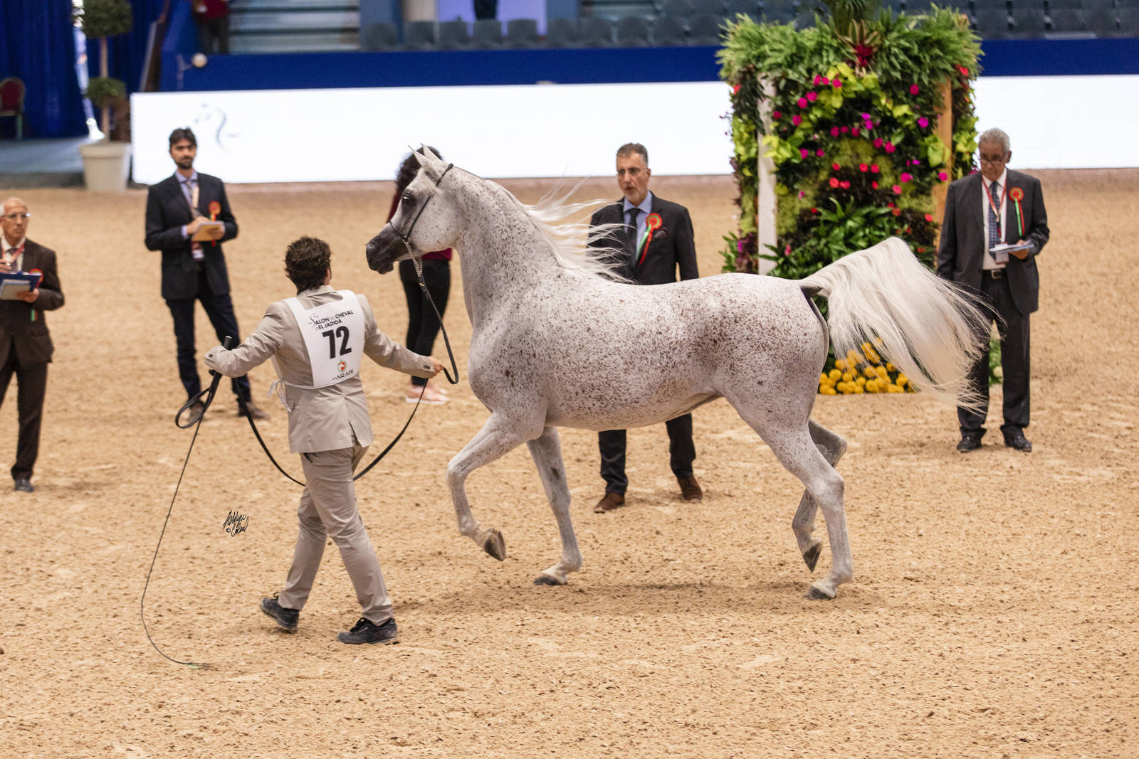 2019 SALON DU CHEVAL - EL JADIDA