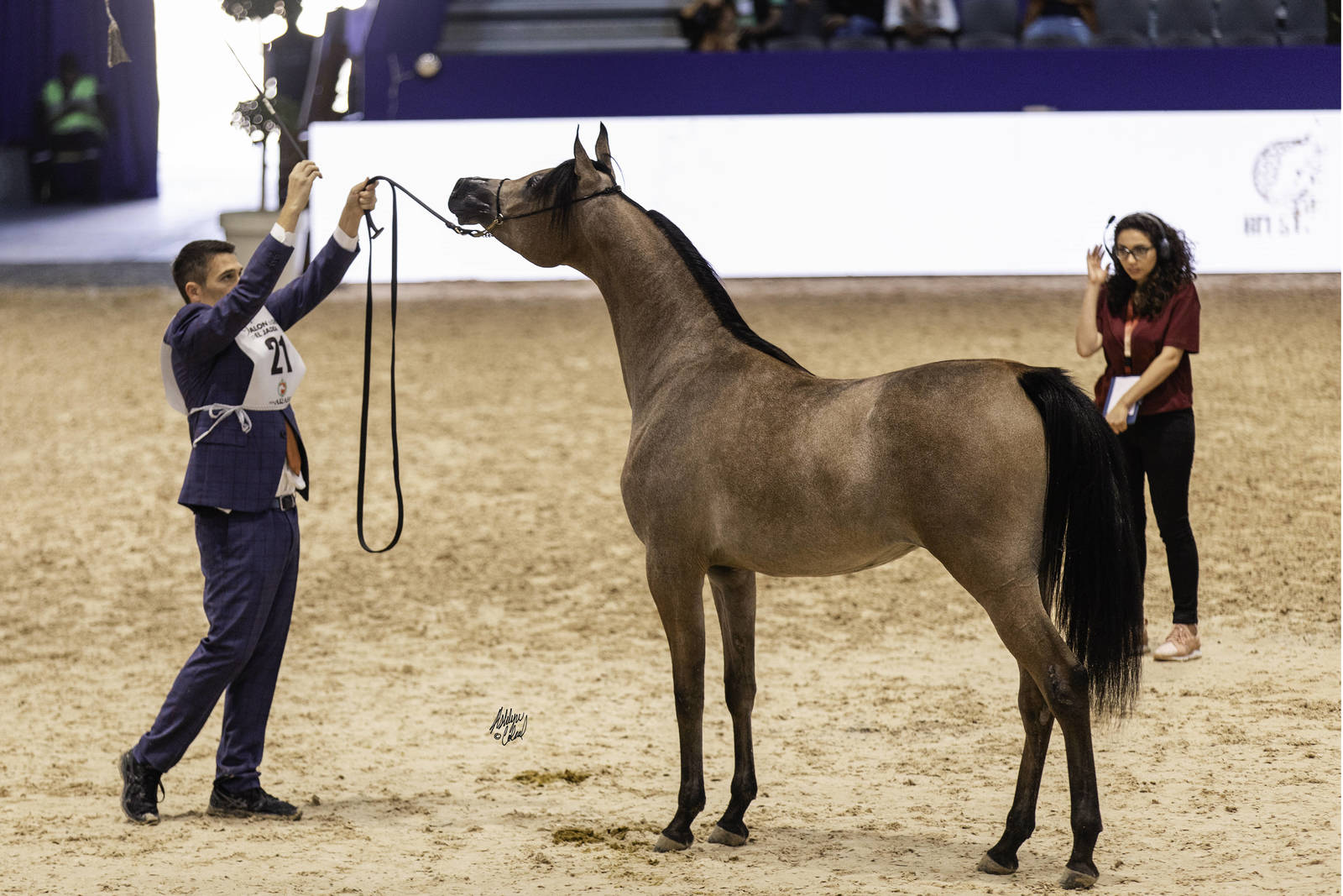 2019 SALON DU CHEVAL - EL JADIDA