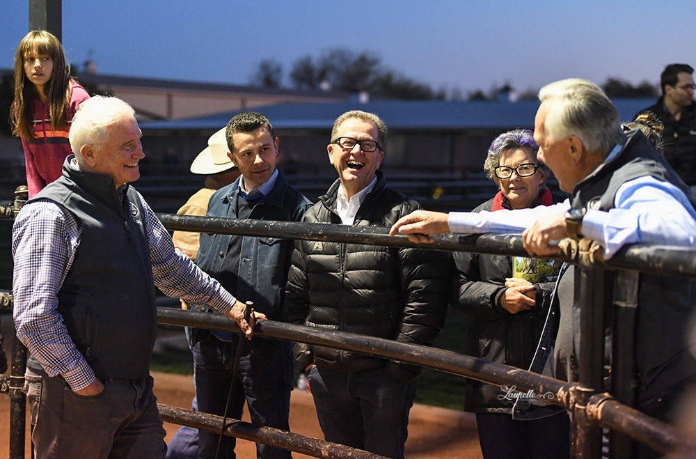 Arabhorse Farm Tours 2008-2019