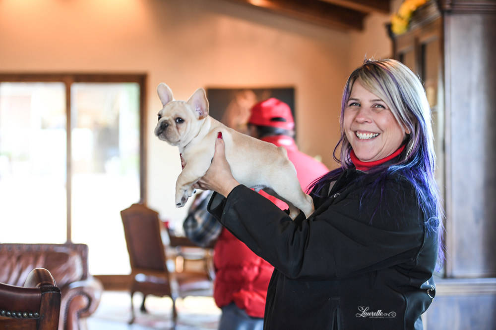 Arabhorse Farm Tours 2008-2019