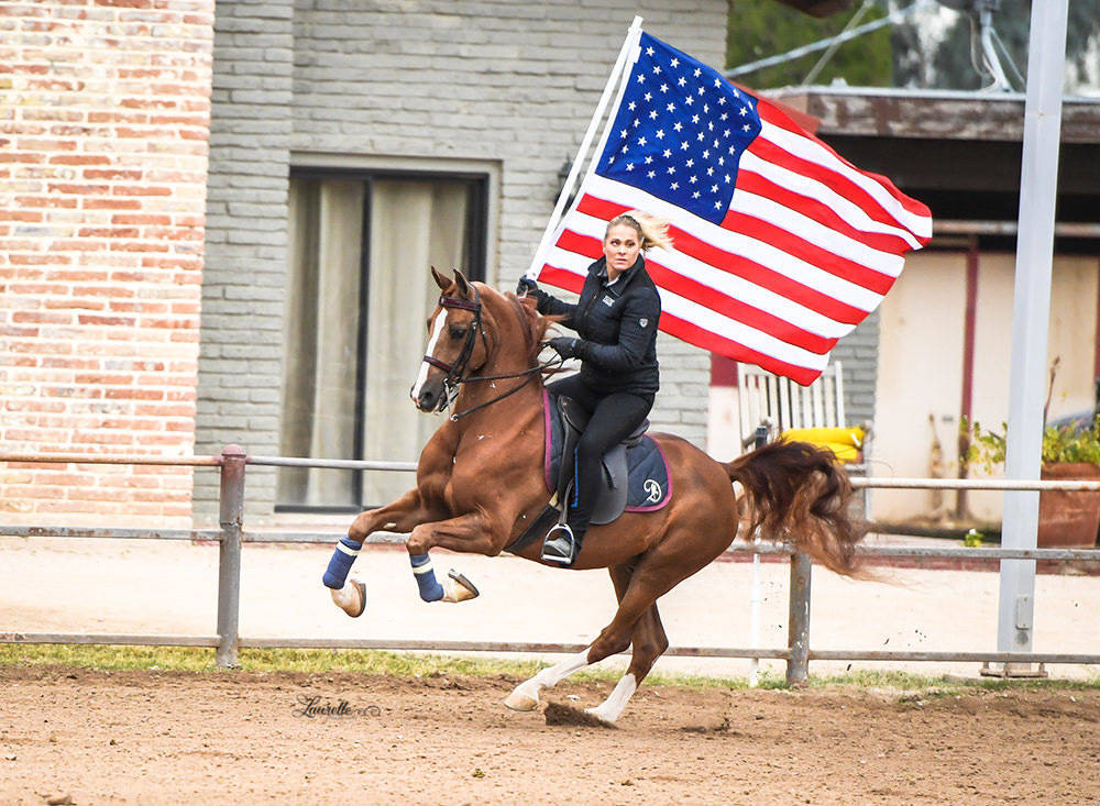 Arabhorse Farm Tours 2008-2019