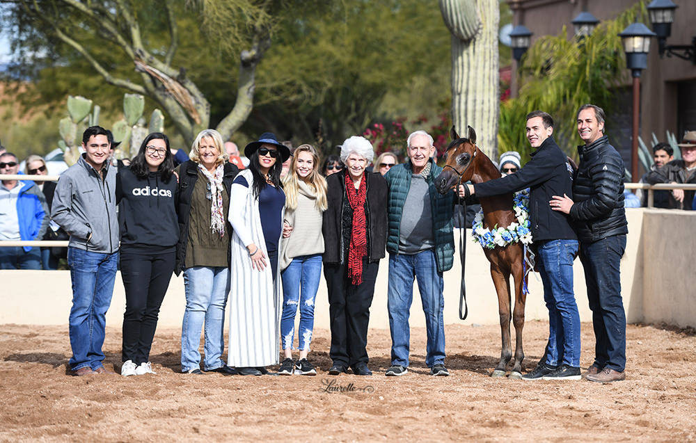 Arabhorse Farm Tours 2008-2019