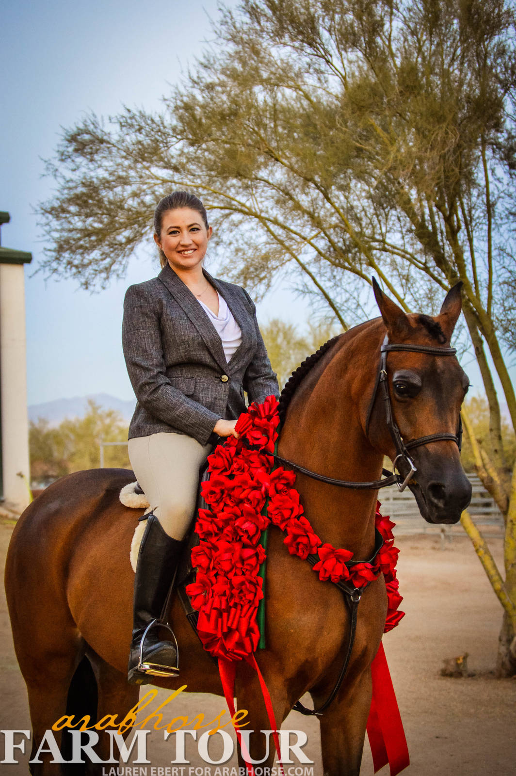 Arabhorse Farm Tours 2008-2019