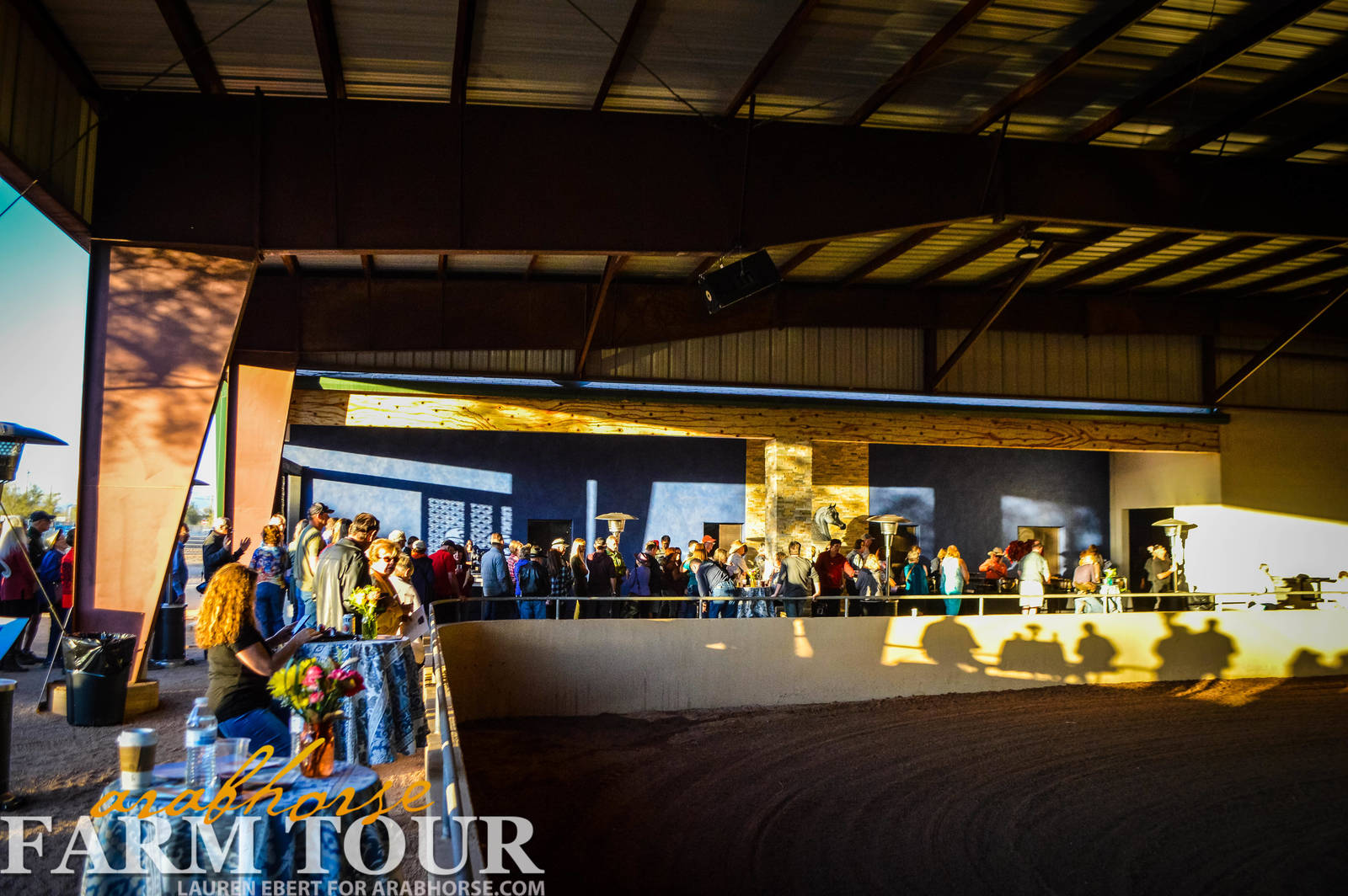 Arabhorse Farm Tours 2008-2019