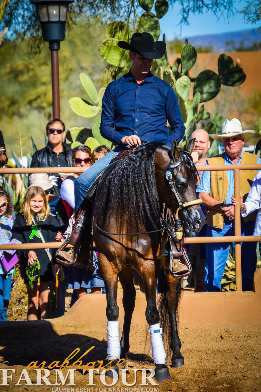 Arabhorse Farm Tours 2008-2019