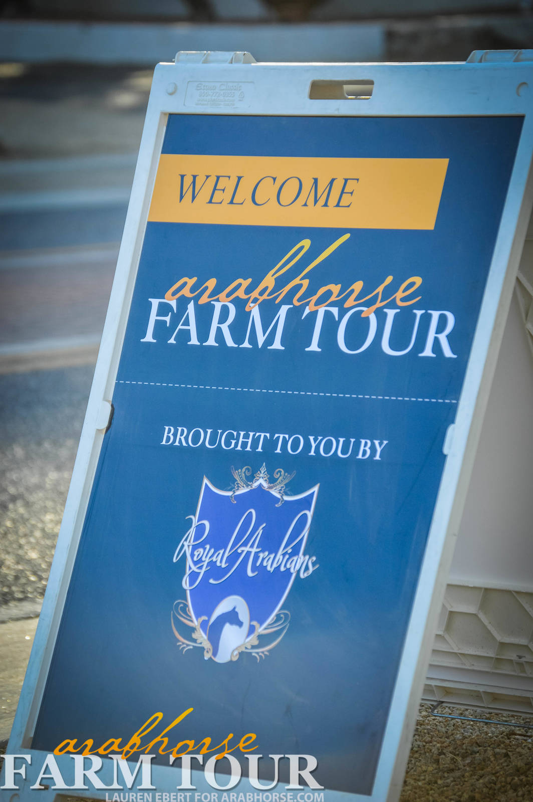 Arabhorse Farm Tours 2008-2019