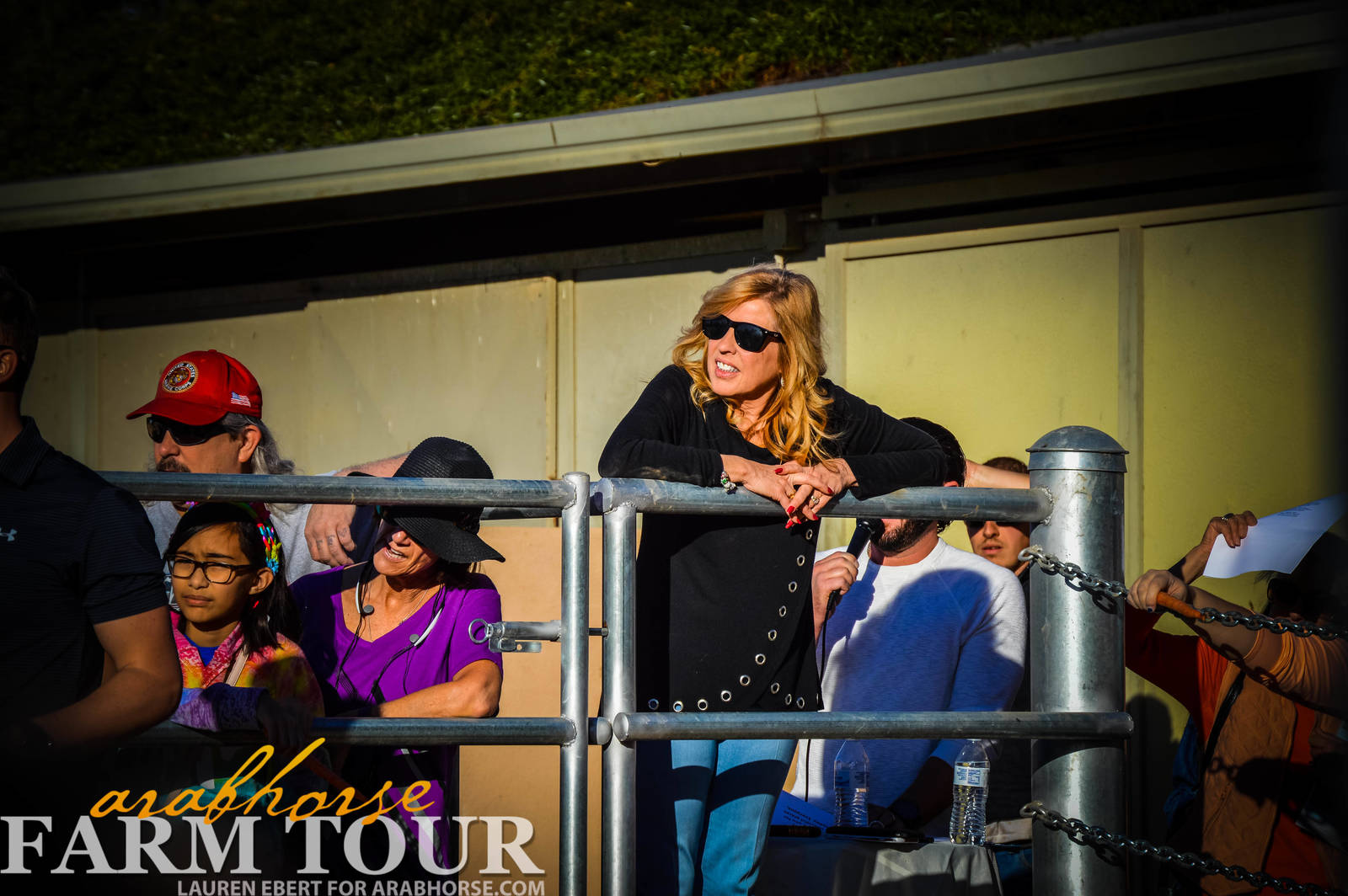 Arabhorse Farm Tours 2008-2019