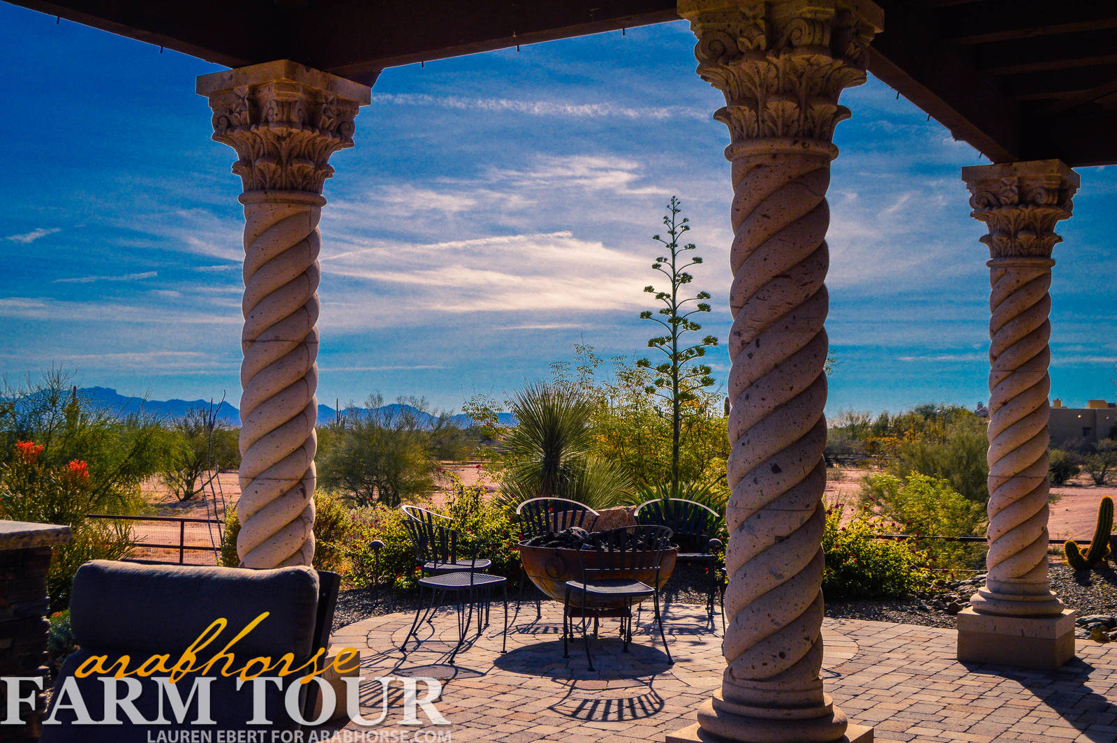 Arabhorse Farm Tours 2008-2019