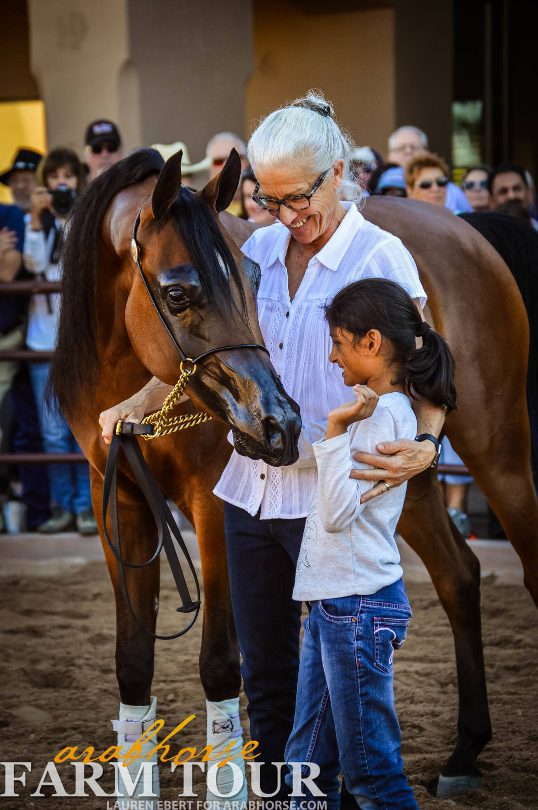 Arabhorse Farm Tours 2008-2019