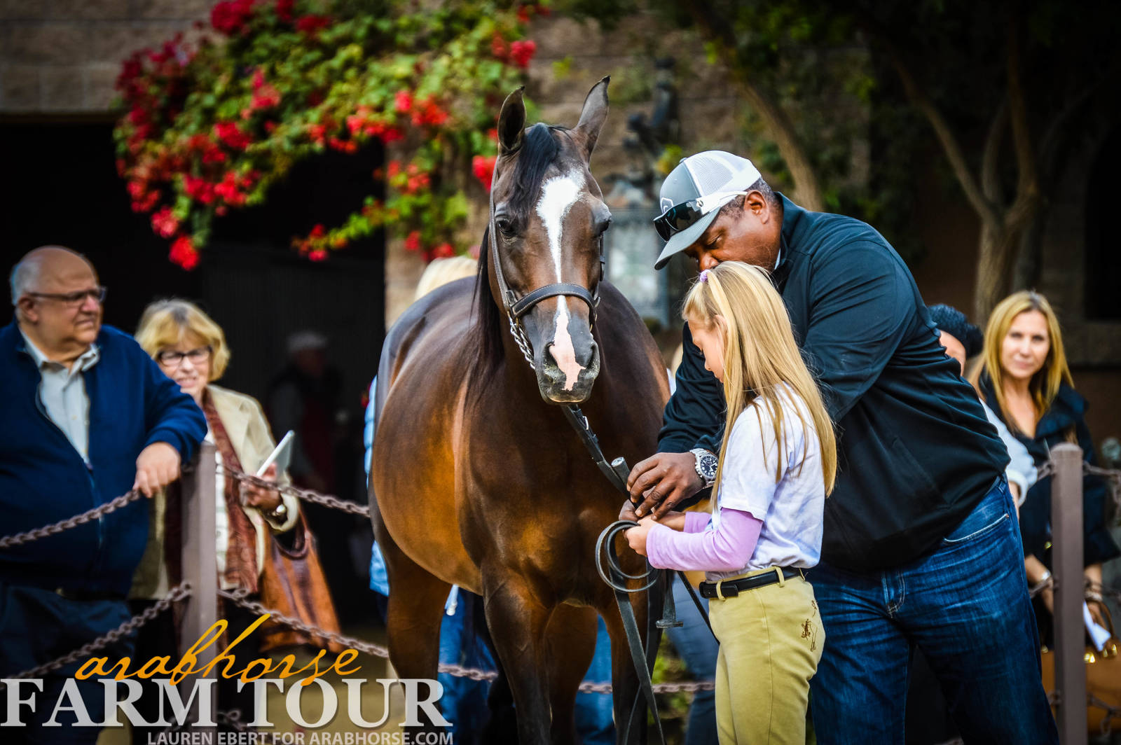 Arabhorse Farm Tours 2008-2019