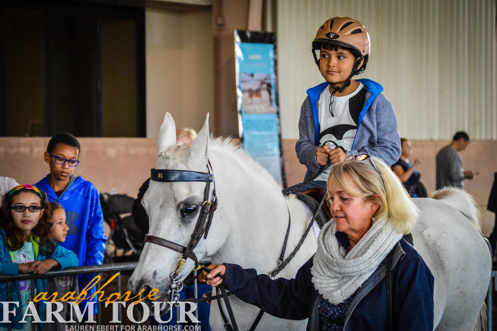 Arabhorse Farm Tours 2008-2019