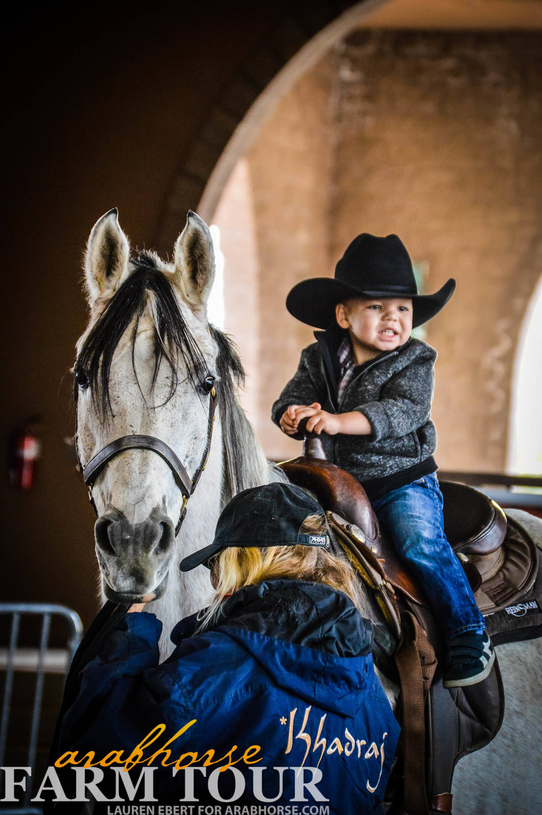 Arabhorse Farm Tours 2008-2019