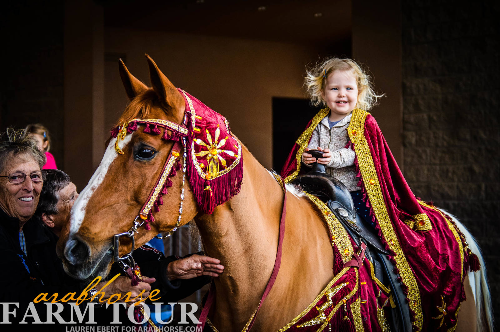 Arabhorse Farm Tours 2008-2019