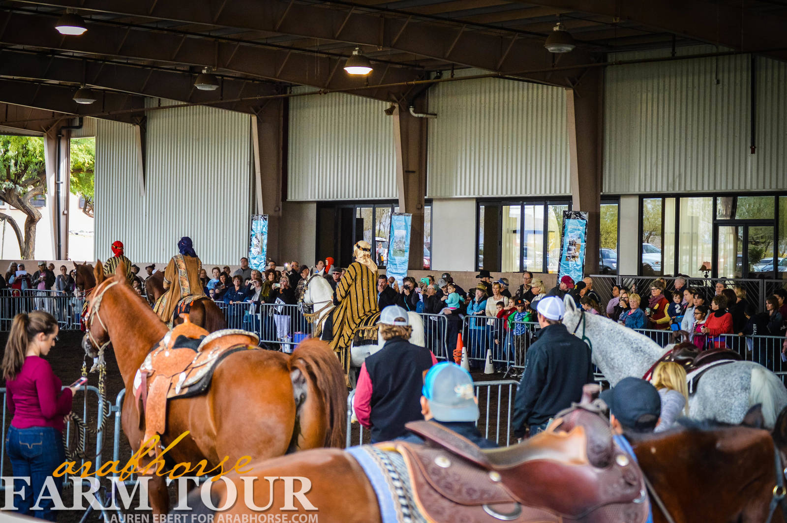 Arabhorse Farm Tours 2008-2019