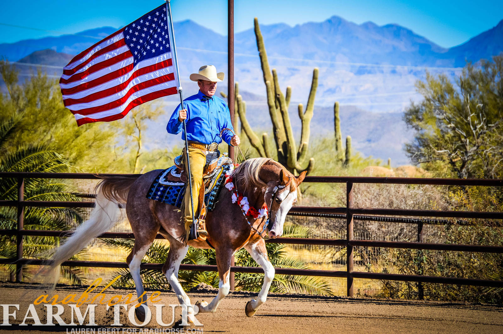 Arabhorse Farm Tours 2008-2019
