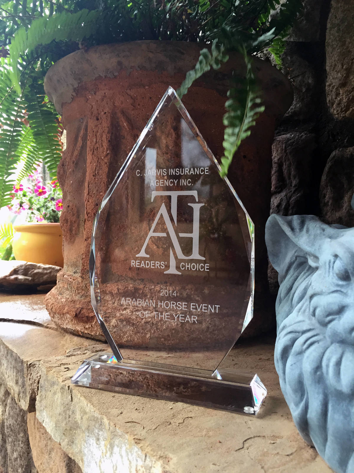 Arabhorse Farm Tours 2008-2019