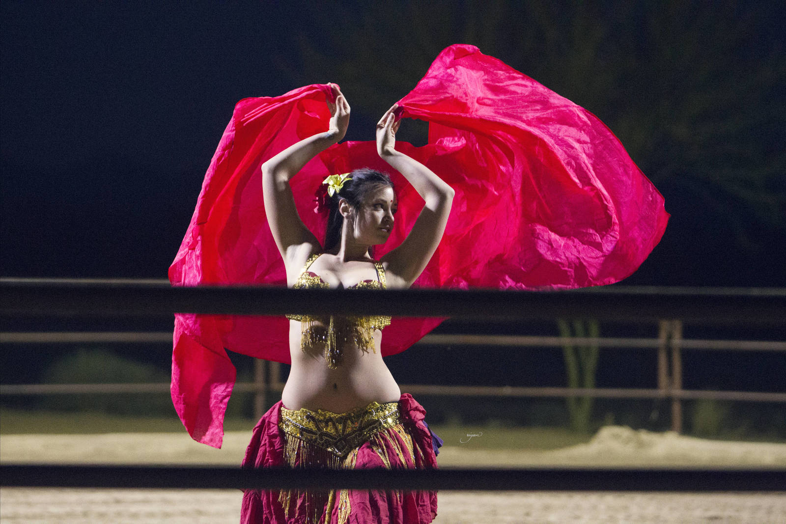 Arabhorse Farm Tours 2008-2019