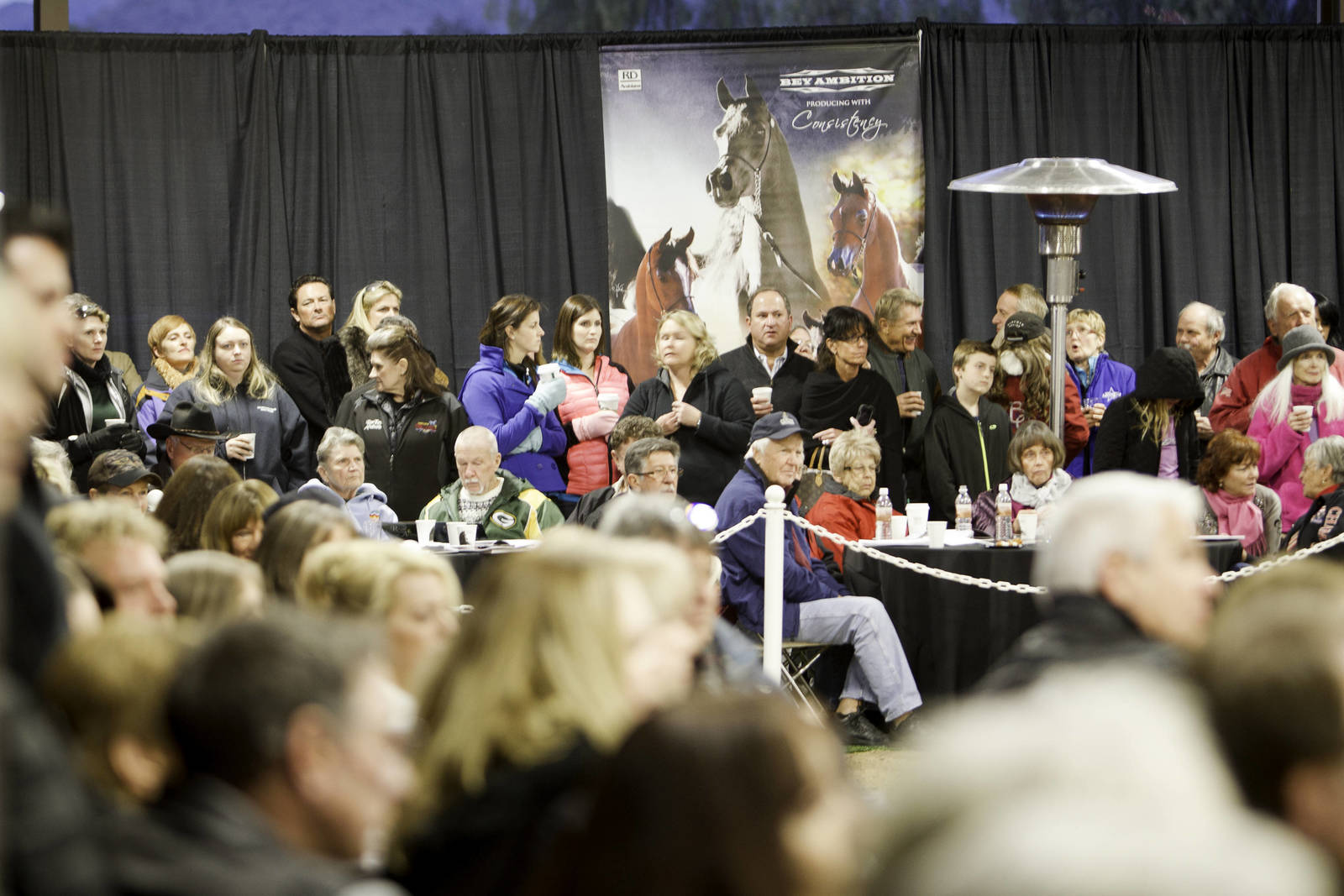 Arabhorse Farm Tours 2008-2019