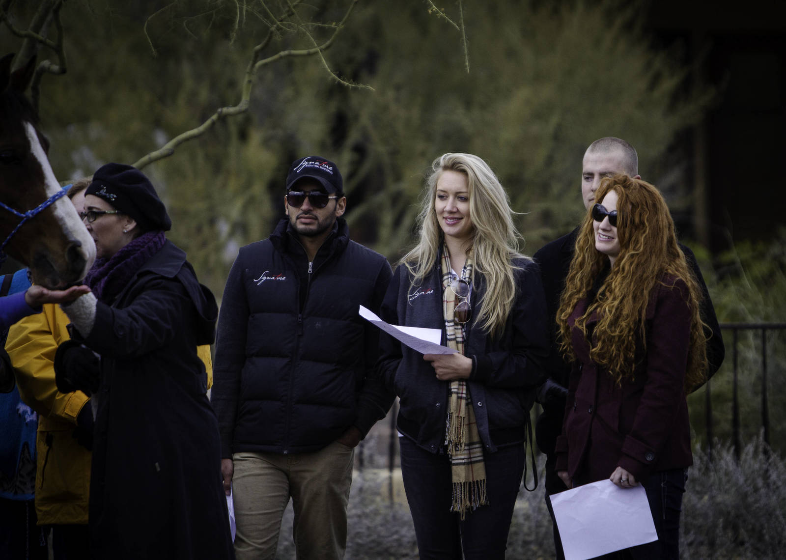 Arabhorse Farm Tours 2008-2019