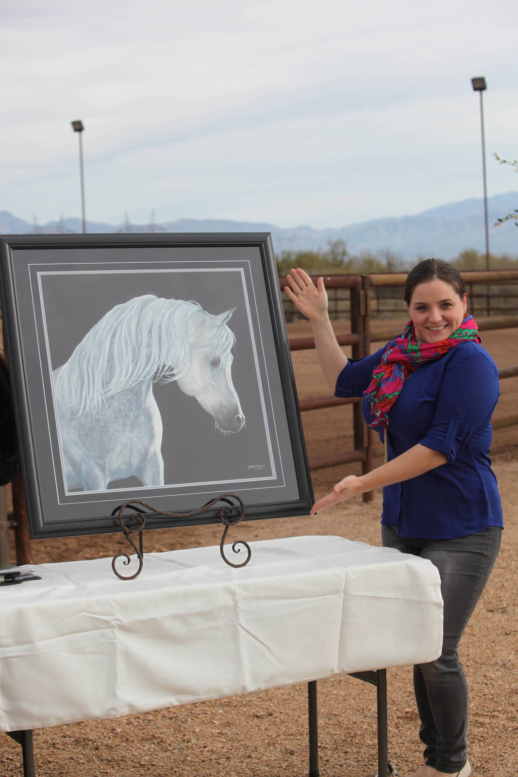 Arabhorse Farm Tours 2008-2019