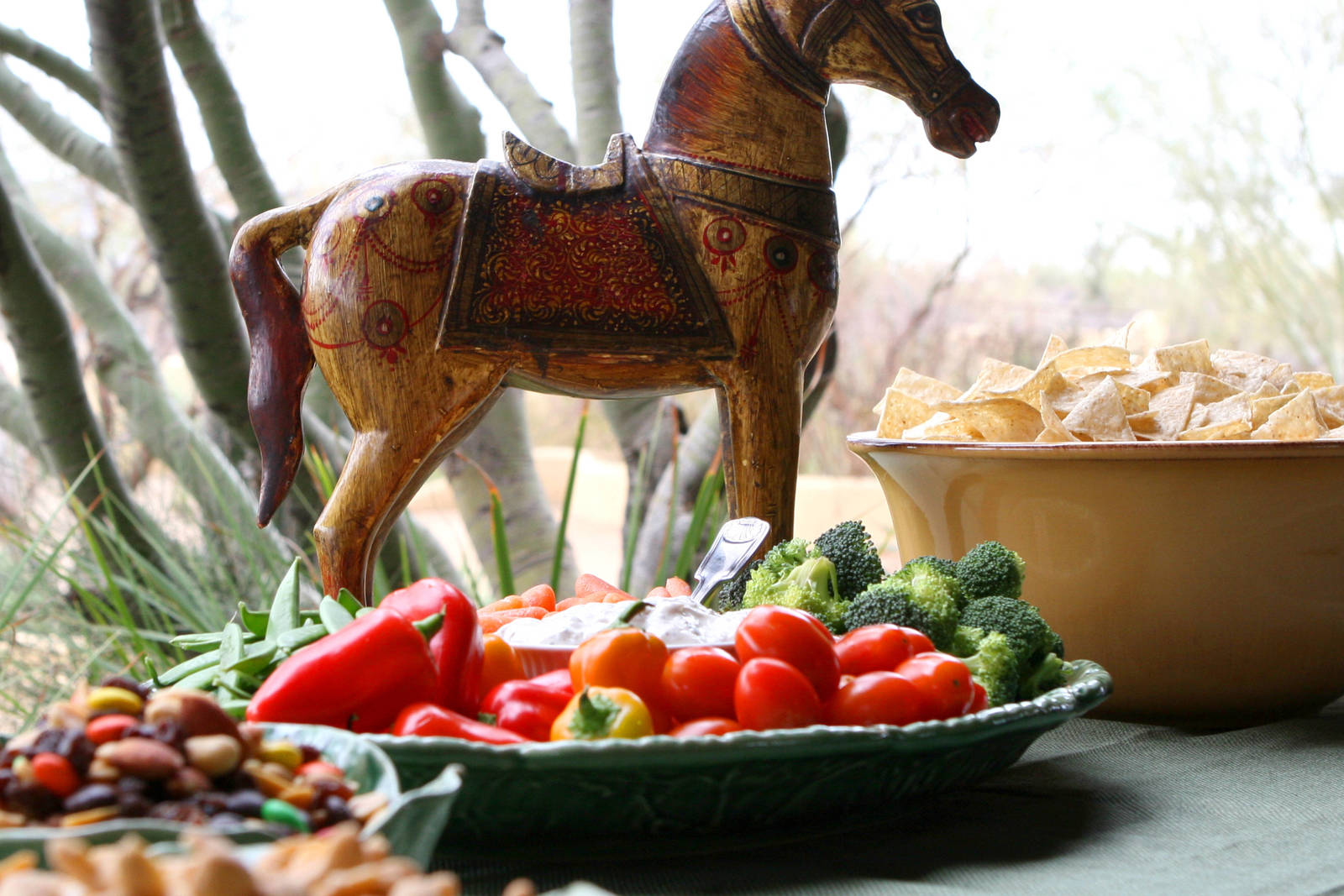 Arabhorse Farm Tours 2008-2019