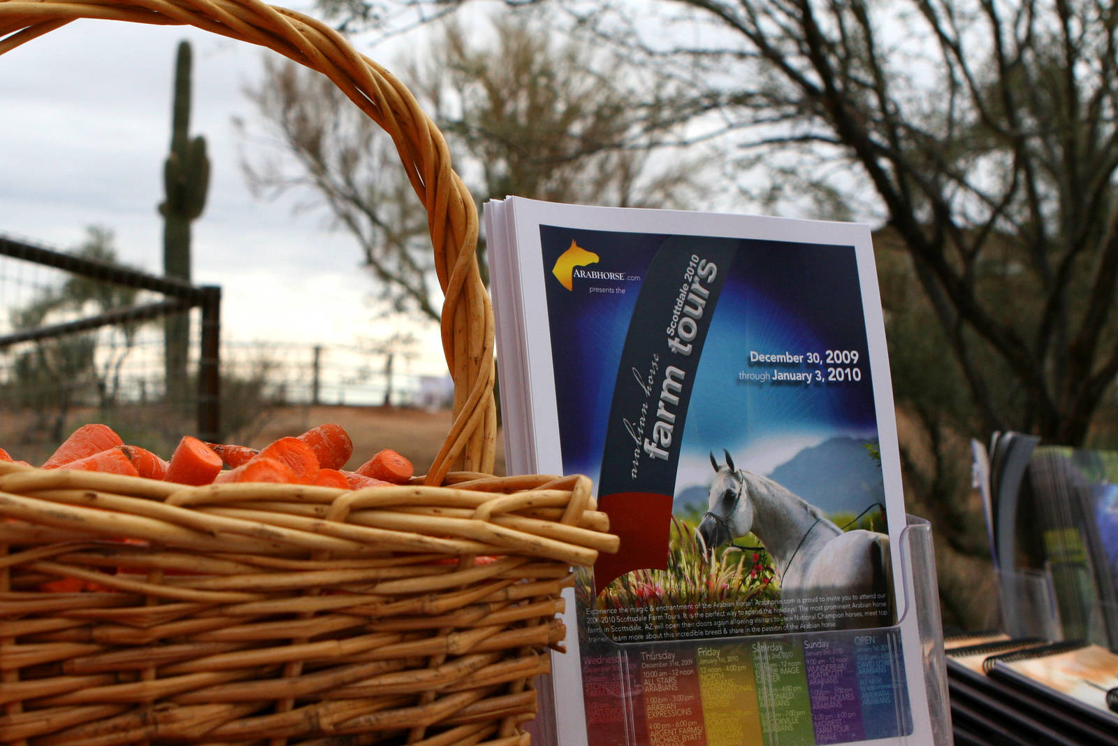 Arabhorse Farm Tours 2008-2019