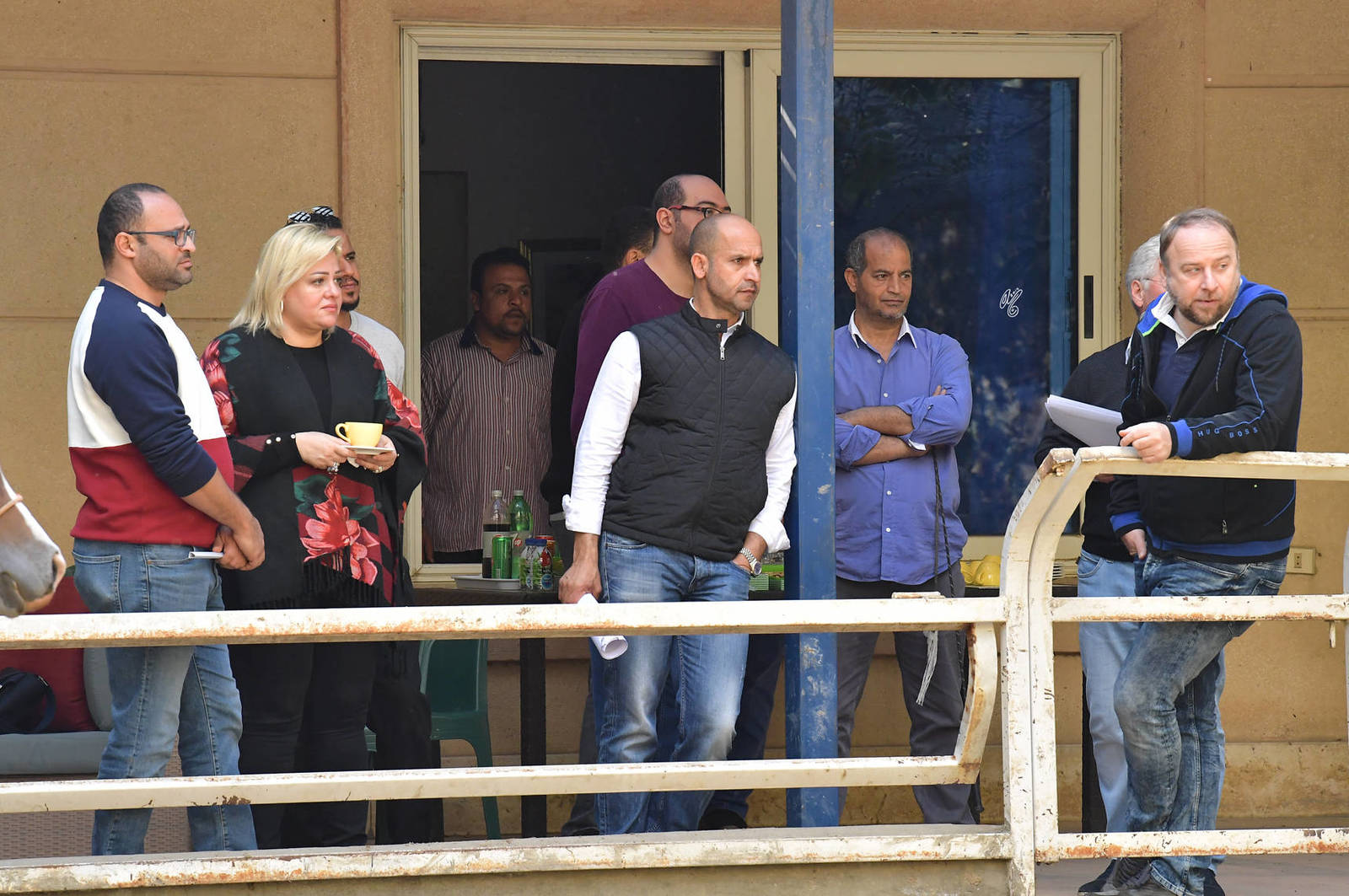 Lisa Abraham: A Gathering of Friends at Albadeia Stud ~ Egypt