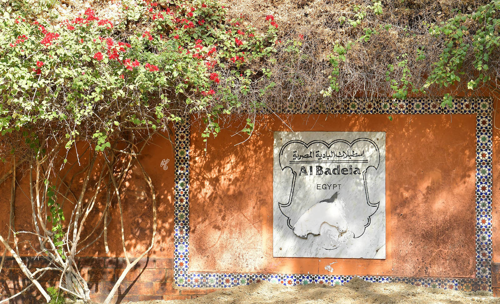 Lisa Abraham: A Gathering of Friends at Albadeia Stud ~ Egypt