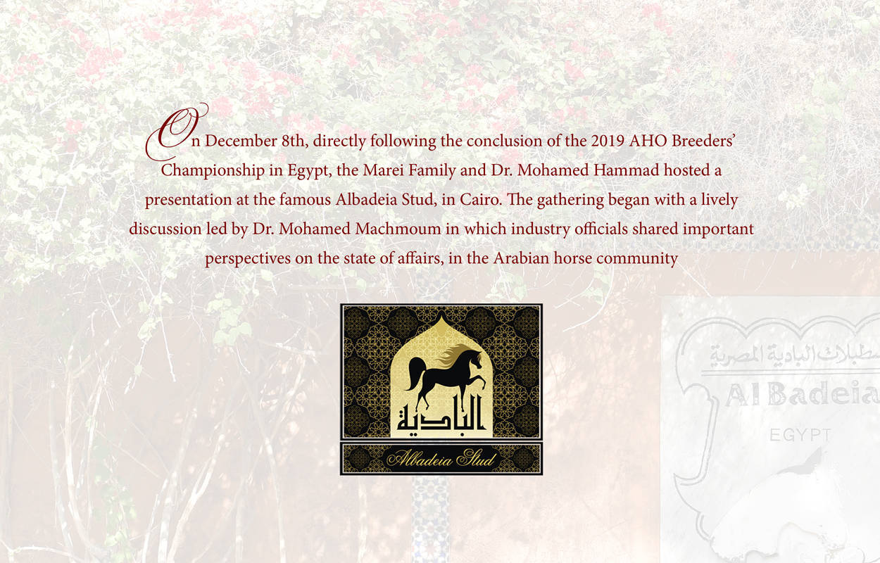 Lisa Abraham: A Gathering of Friends at Albadeia Stud ~ Egypt