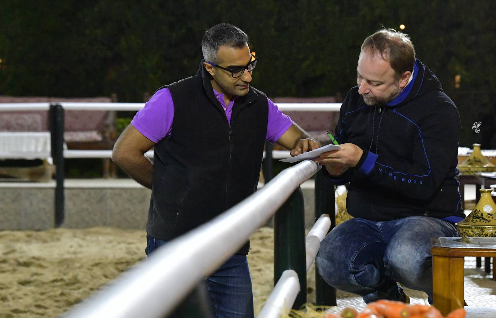 Lisa Abraham: A Gathering of Friends at Al Bawady Stud ~ Egypt