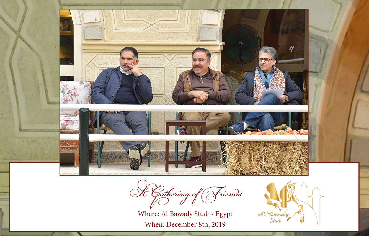 Lisa Abraham: A Gathering of Friends at Al Bawady Stud ~ Egypt