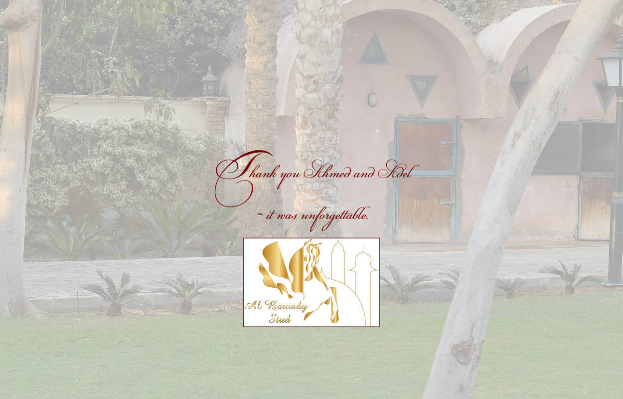 Lisa Abraham: A Gathering of Friends at Al Bawady Stud ~ Egypt